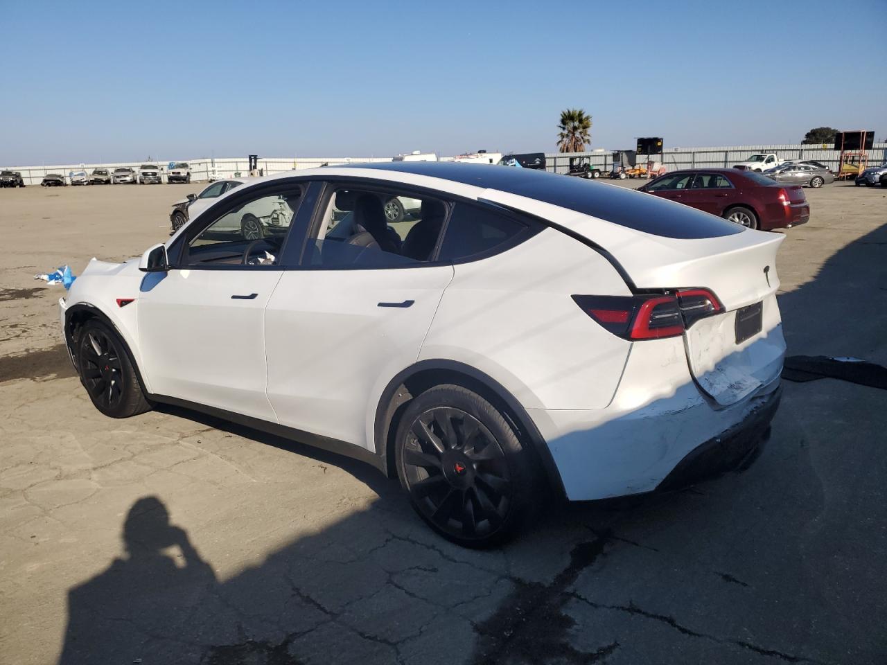 2021 Tesla Model Y VIN: 5YJYGAEEXMF269624 Lot: 88997145