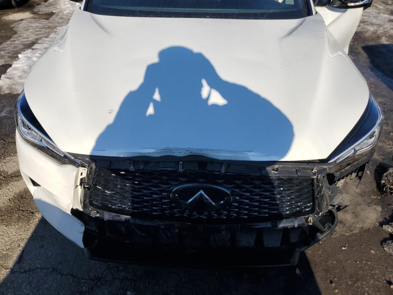 2021 Infiniti Qx50 Luxe VIN: 3PCAJ5BB7MF117806 Lot: 88735235