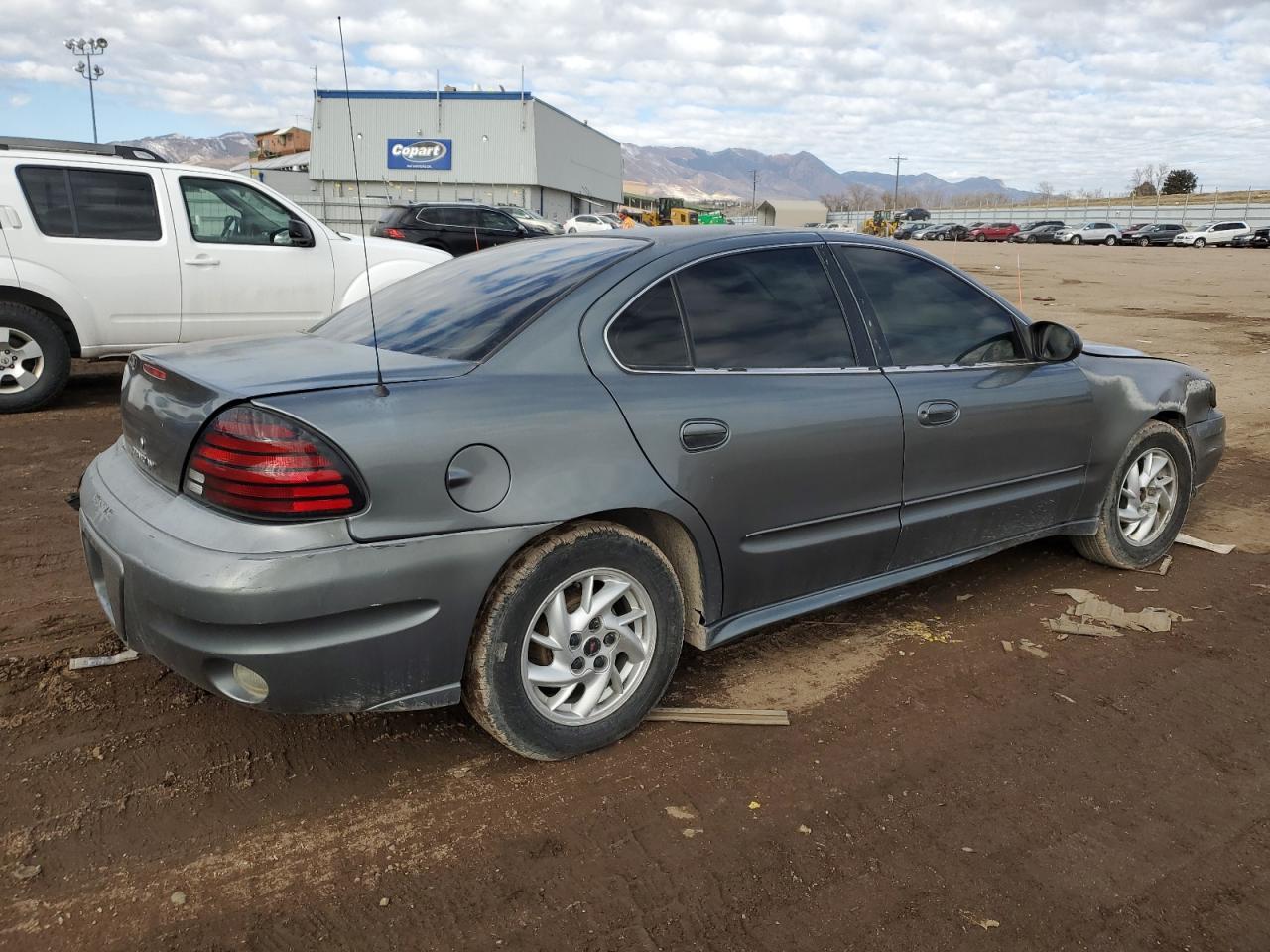 2004 Pontiac Grand Am Se VIN: 1G2NE52F84C250794 Lot: 42411395