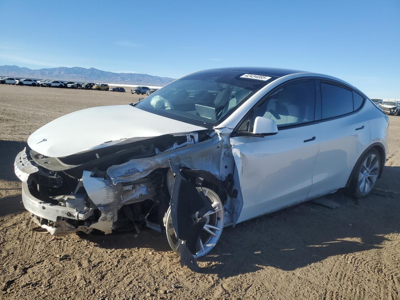 5YJYGDEE4MF276117 2021 Tesla Model Y