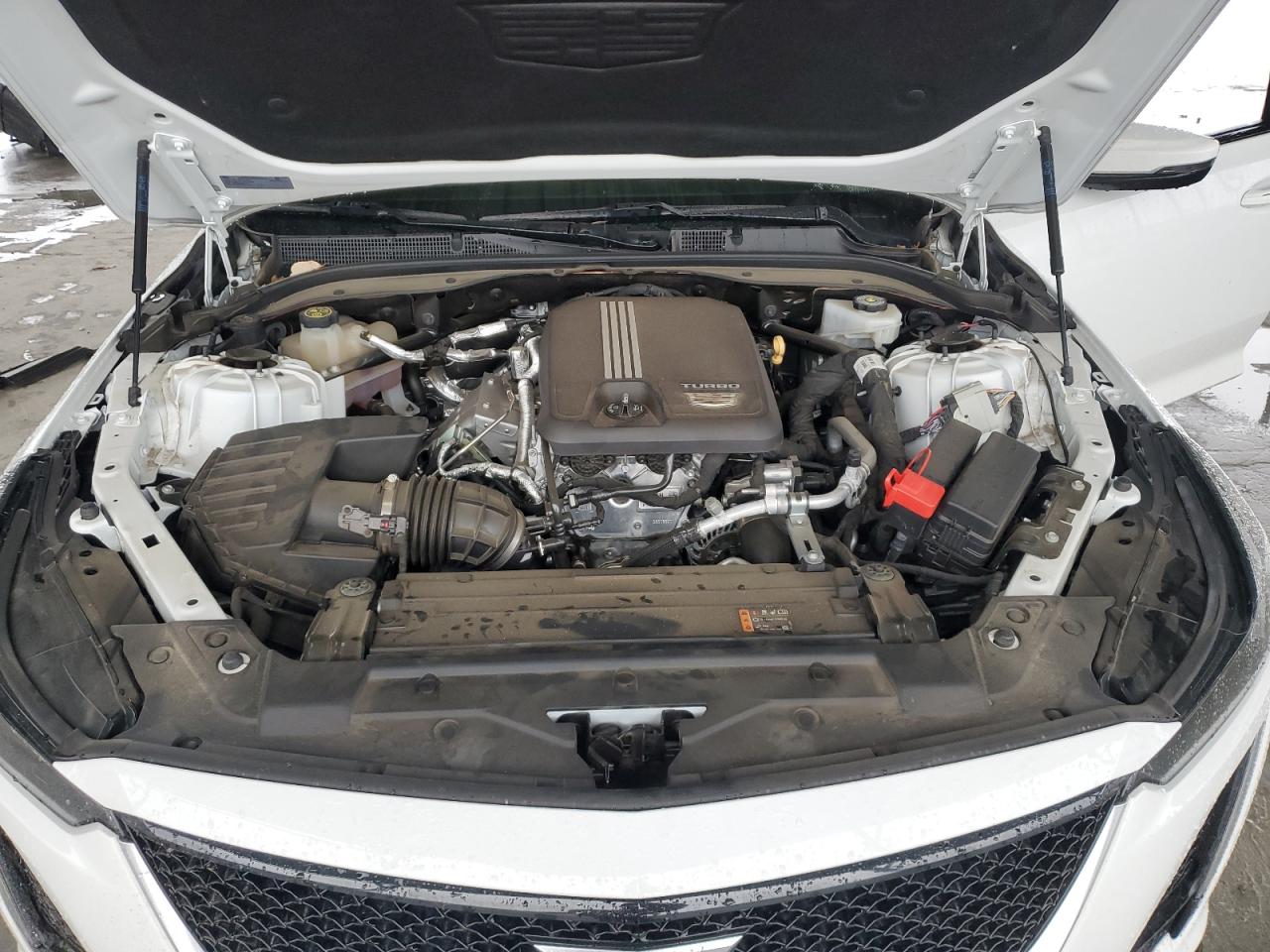 2021 Cadillac Ct5 Sport VIN: 1G6DP5RKXM0114966 Lot: 43431085