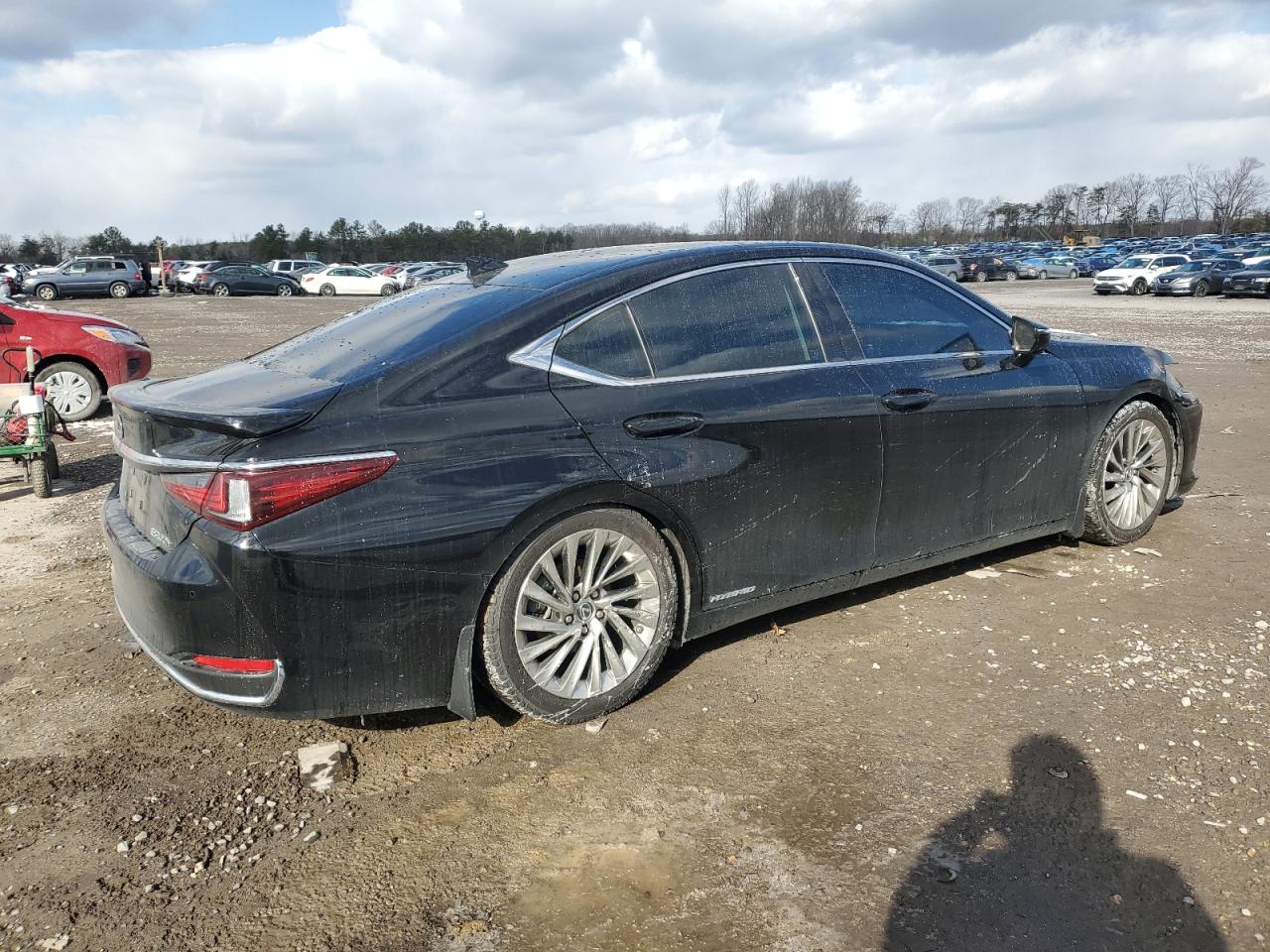 2019 Lexus Es 300H VIN: JTHB21B16K2028258 Lot: 86982854