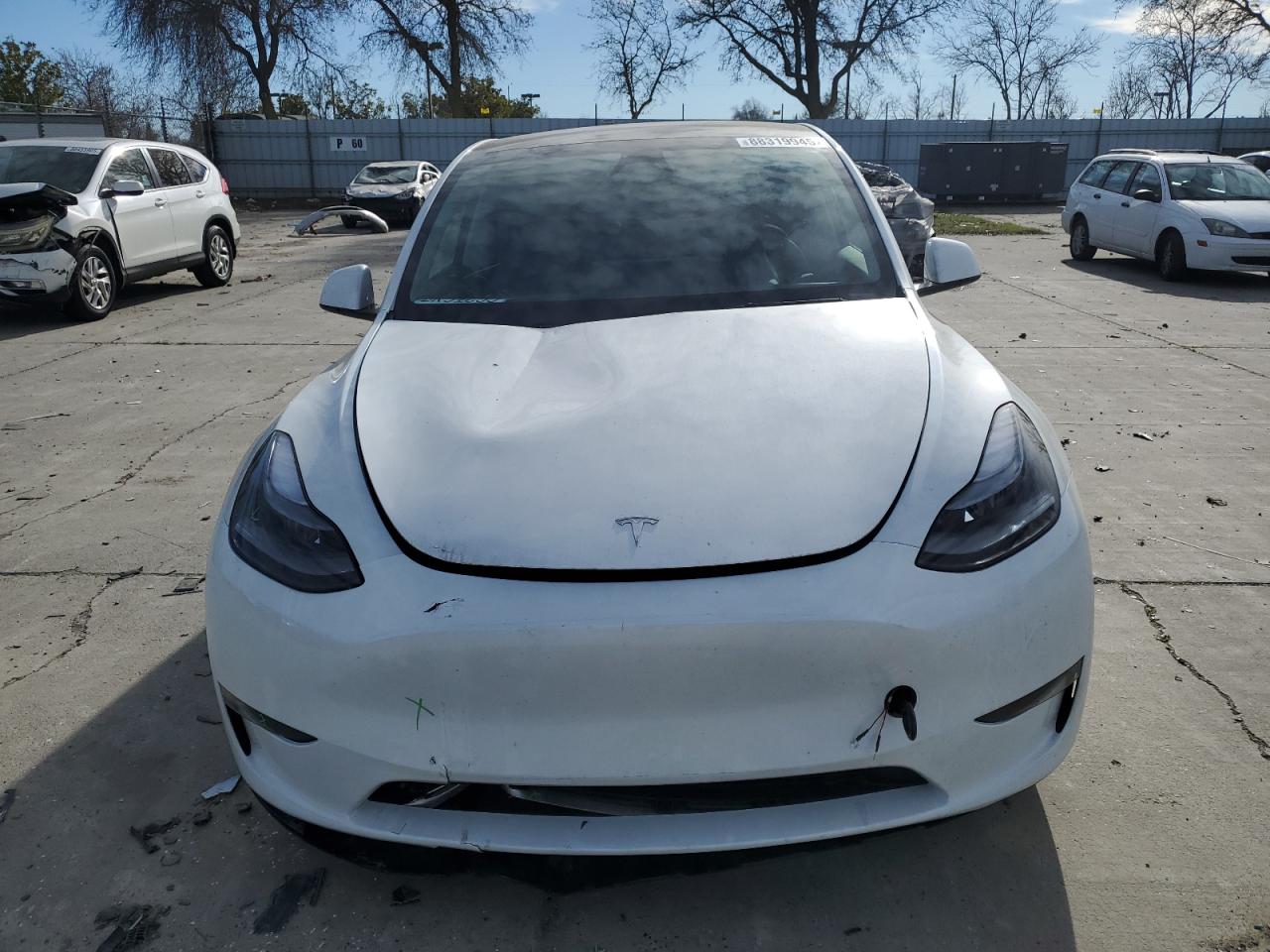 2024 Tesla Model Y VIN: 7SAYGDEE7RF195364 Lot: 88319945