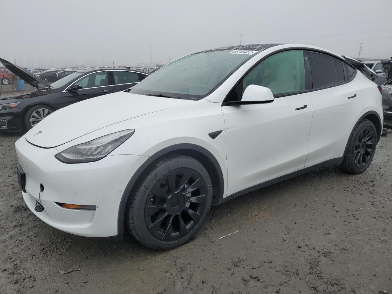 2021 Tesla Model Y VIN: 5YJYGDEE1MF267004 Lot: 88708485