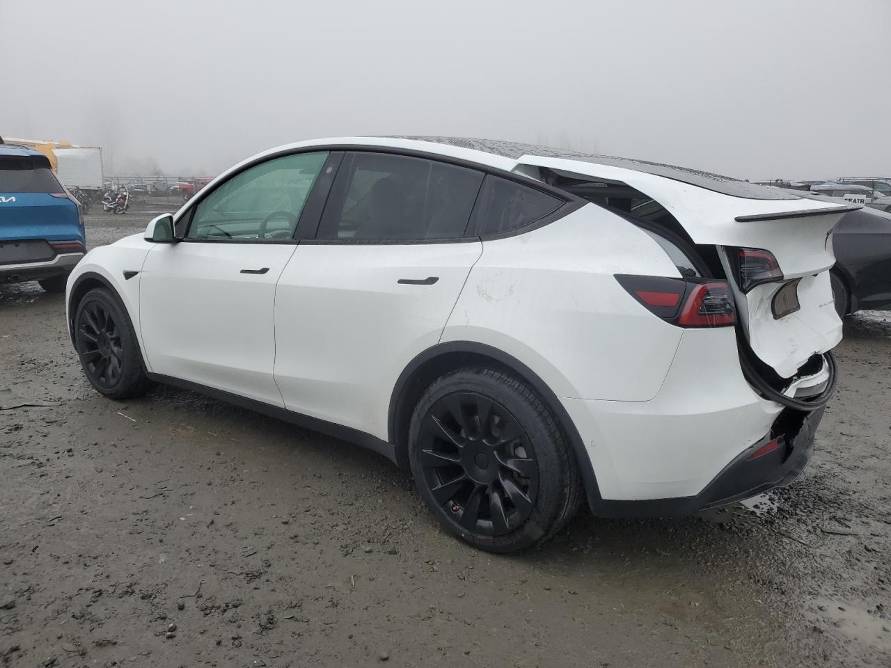 5YJYGDEE1MF267004 2021 Tesla Model Y