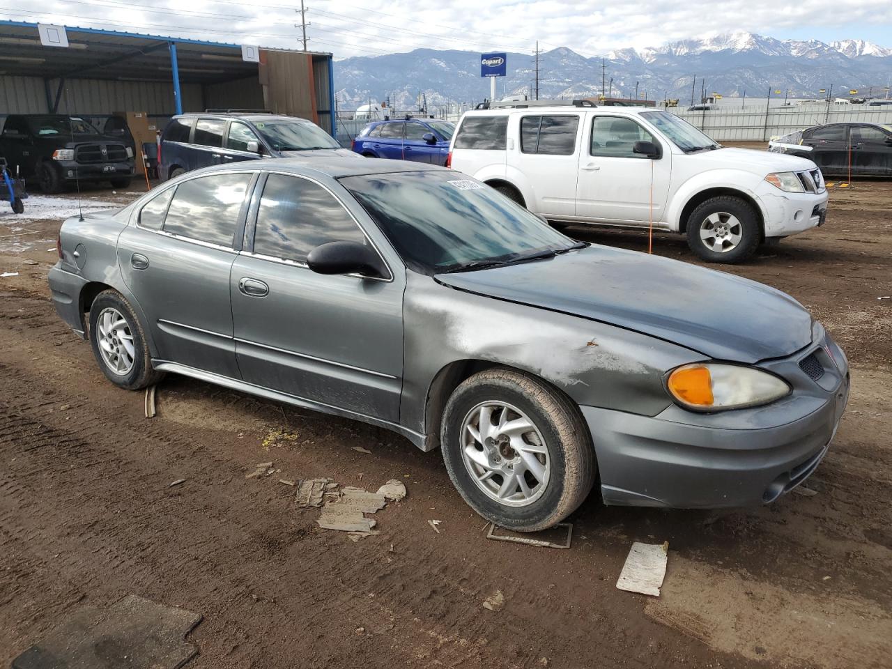 2004 Pontiac Grand Am Se VIN: 1G2NE52F84C250794 Lot: 42411395