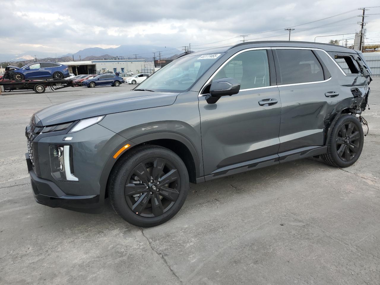 2025 Hyundai Palisade Xrt VIN: KM8R3DGE6SU849466 Lot: 44177465