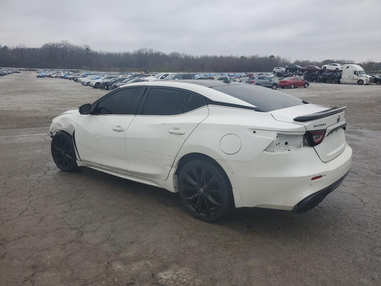 2019 Nissan Maxima S VIN: 1N4AA6AV5KC373153 Lot: 43813565