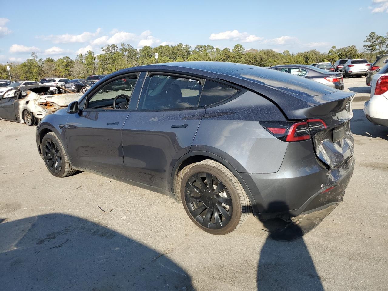 2023 Tesla Model Y VIN: 7SAYGDEE5PF761194 Lot: 43825705