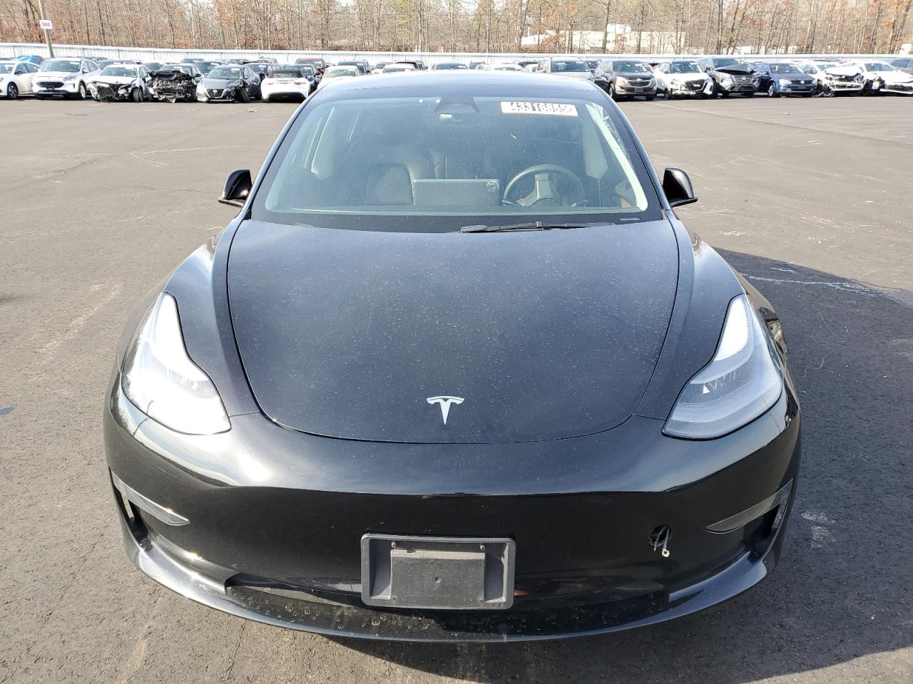 2023 Tesla Model 3 VIN: 5YJ3E1EA3PF436276 Lot: 43316855