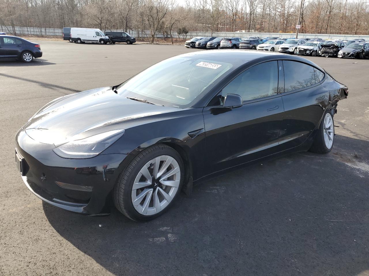 2023 Tesla Model 3 VIN: 5YJ3E1EA3PF436276 Lot: 43316855