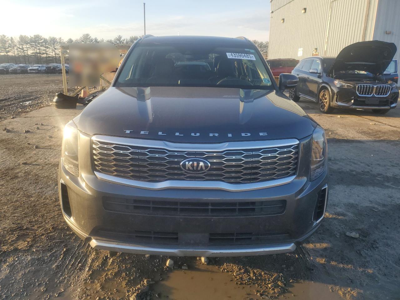 2020 Kia Telluride Ex VIN: 5XYP3DHCXLG001649 Lot: 43590485