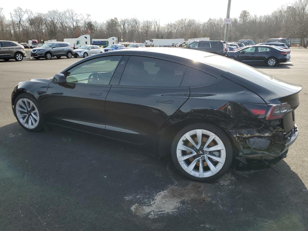 2023 Tesla Model 3 VIN: 5YJ3E1EA3PF436276 Lot: 43316855