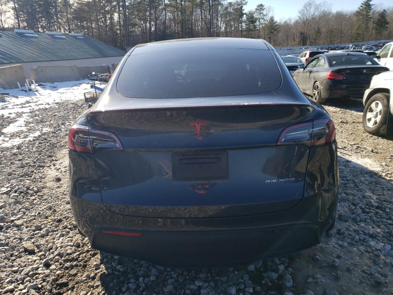 2024 Tesla Model Y VIN: 7SAYGDEF6RF033881 Lot: 43957765