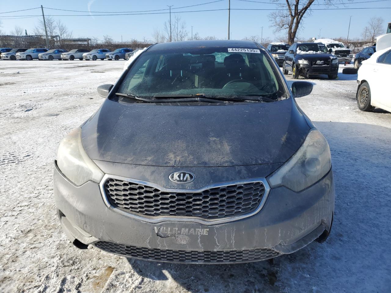 2016 Kia Forte Lx VIN: KNAFK4A6XG5465166 Lot: 44225135