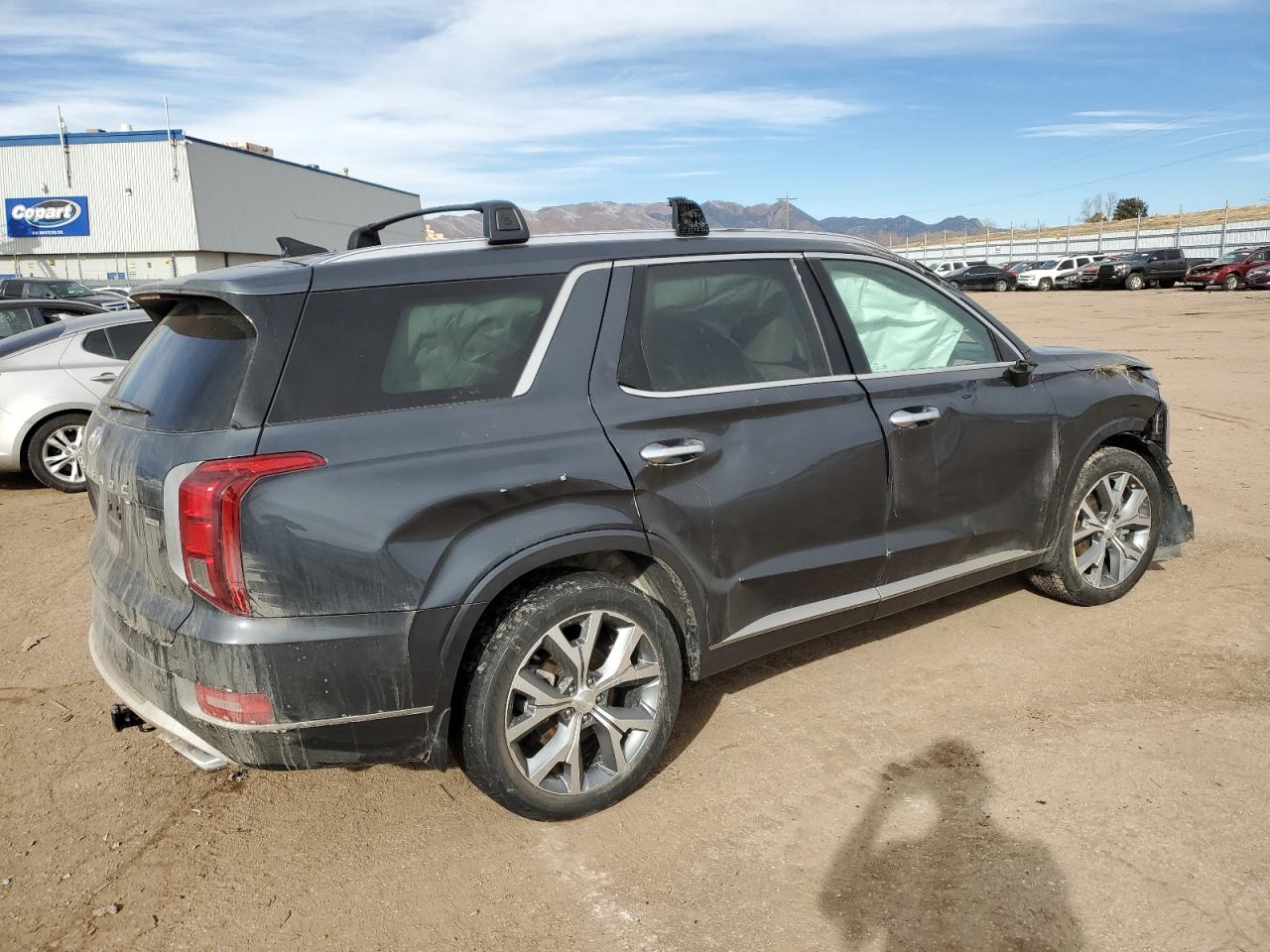 2021 Hyundai Palisade Limited VIN: KM8R5DHE8MU206032 Lot: 43073125