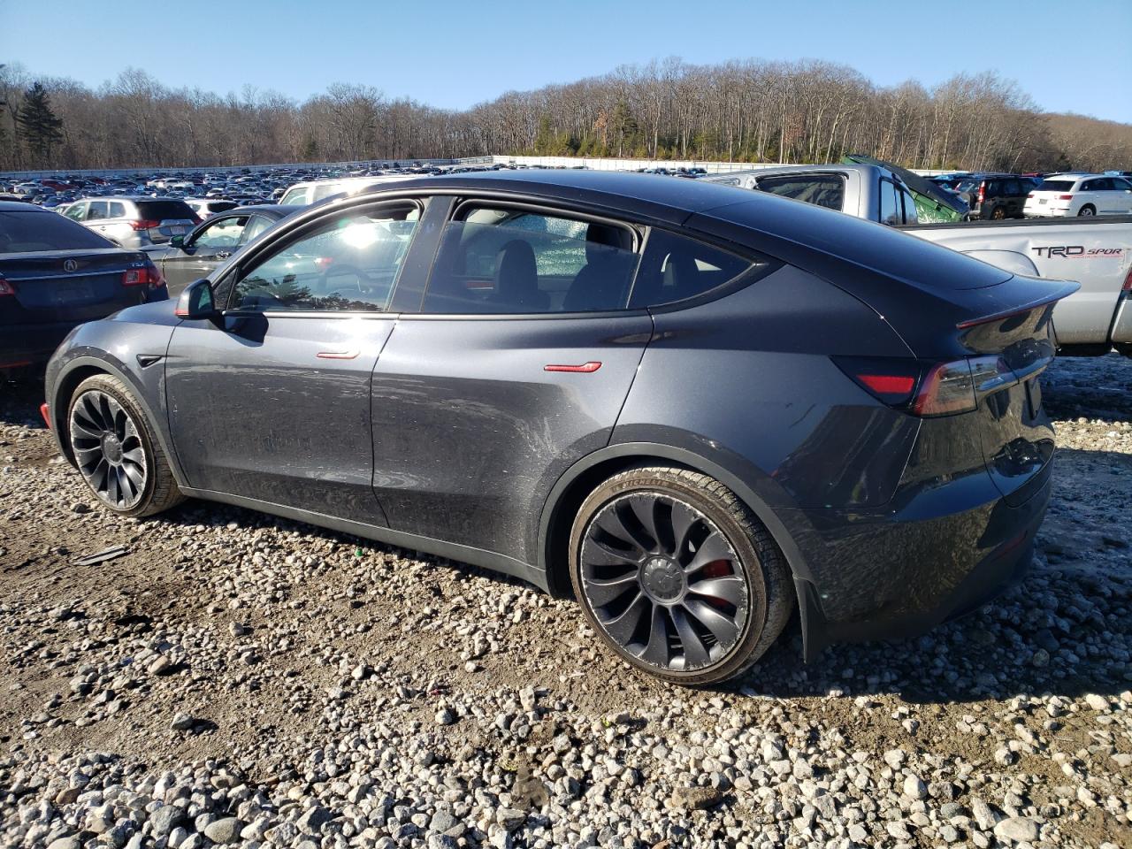 2024 Tesla Model Y VIN: 7SAYGDEF6RF033881 Lot: 43957765