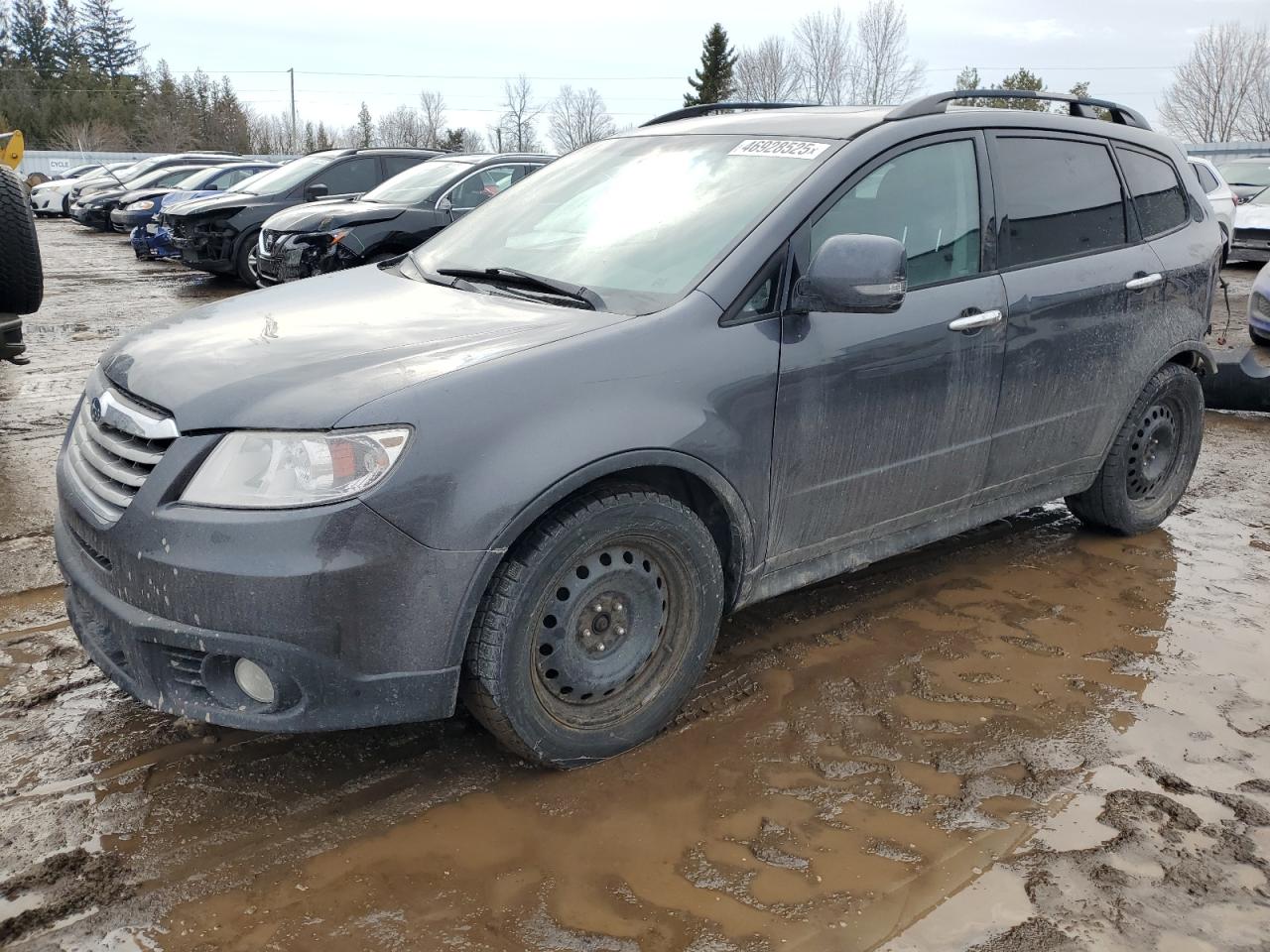 2008 Subaru Tribeca Limited VIN: 4S4WX98D684402073 Lot: 46928525