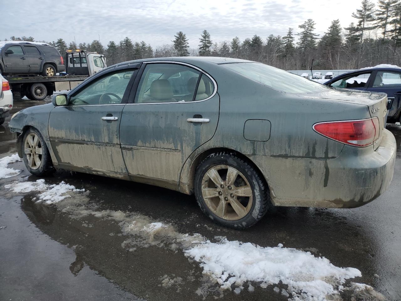 2005 Lexus Es 330 VIN: JTHBA30G855098014 Lot: 43641835