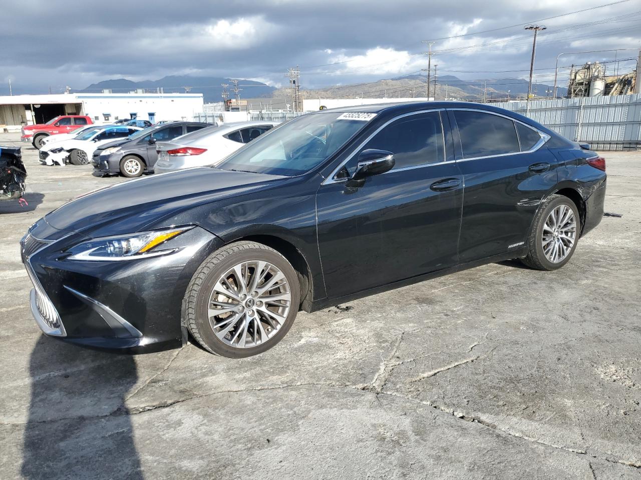 2019 Lexus Es 300H VIN: 58AB21B15KU002339 Lot: 45525275