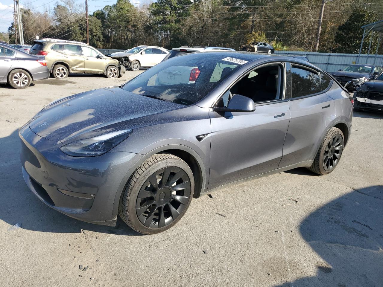 2023 Tesla Model Y VIN: 7SAYGDEE5PF761194 Lot: 43825705