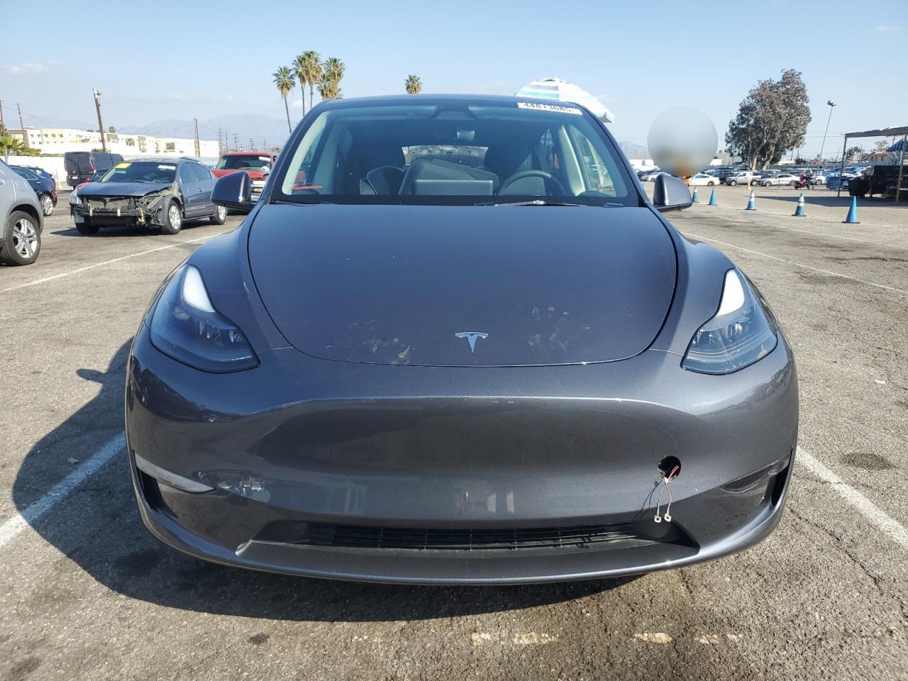 2023 Tesla Model Y VIN: 7SAYGAEE7PF957507 Lot: 44813685