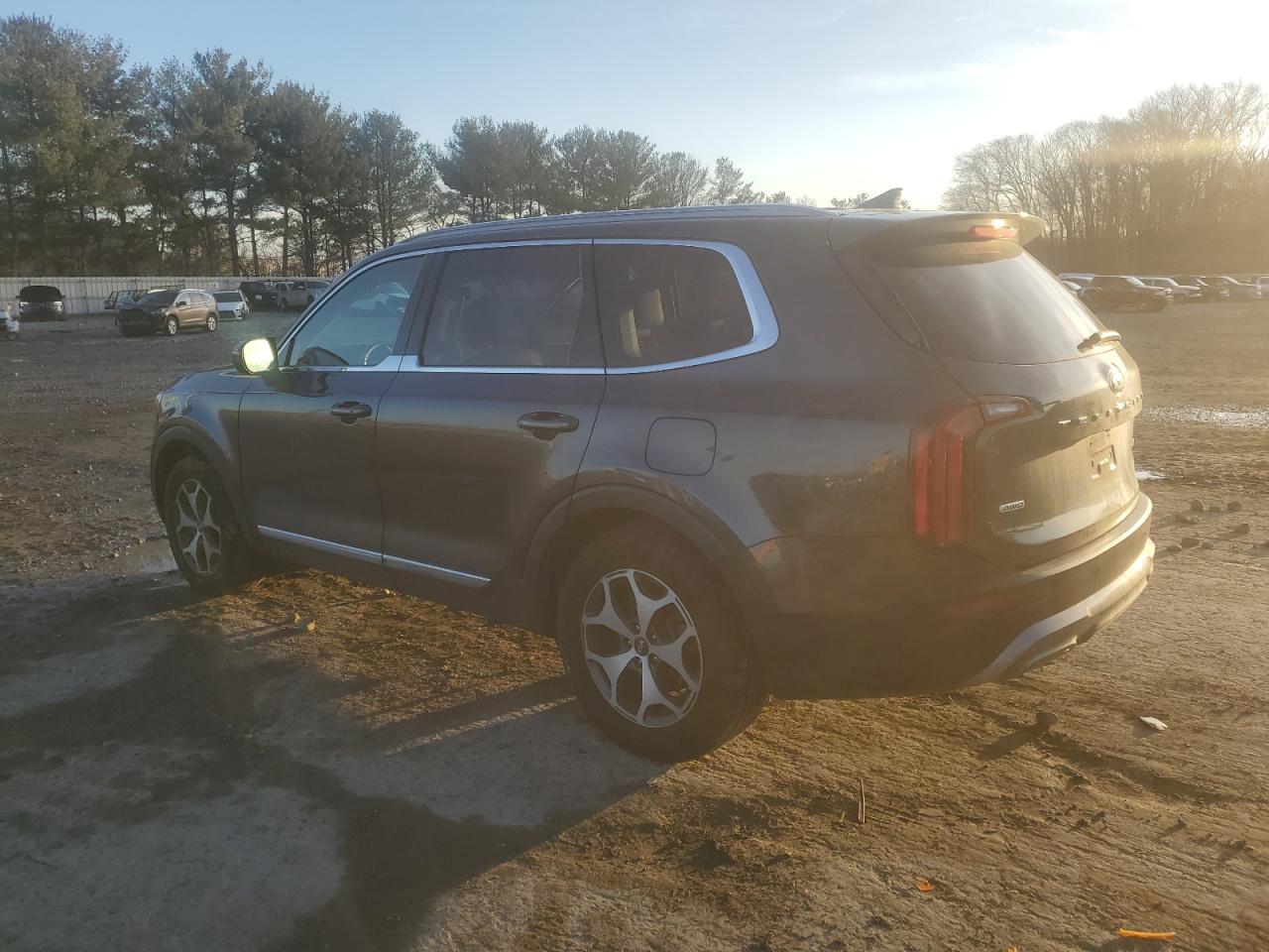 2020 Kia Telluride Ex VIN: 5XYP3DHCXLG001649 Lot: 43590485