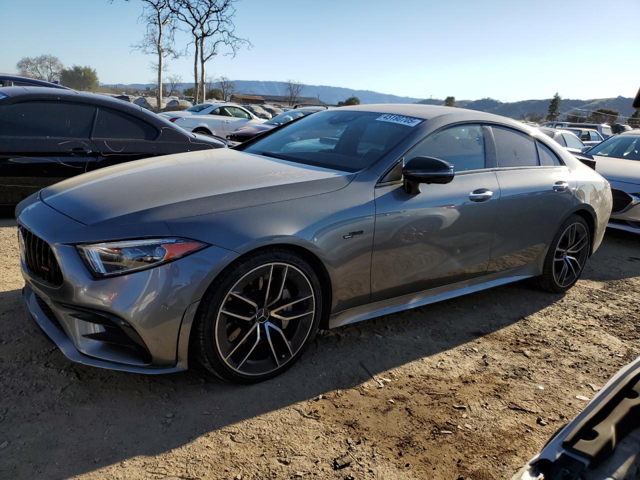 2019 Mercedes-Benz Cls Amg 53 4Matic VIN: WDD2J6BB2KA027663 Lot: 45190705