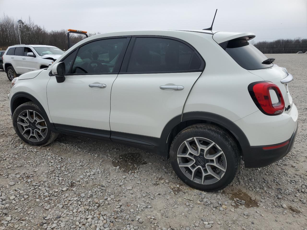 2019 Fiat 500X Trekking VIN: ZFBNFYB19KP776648 Lot: 45815555