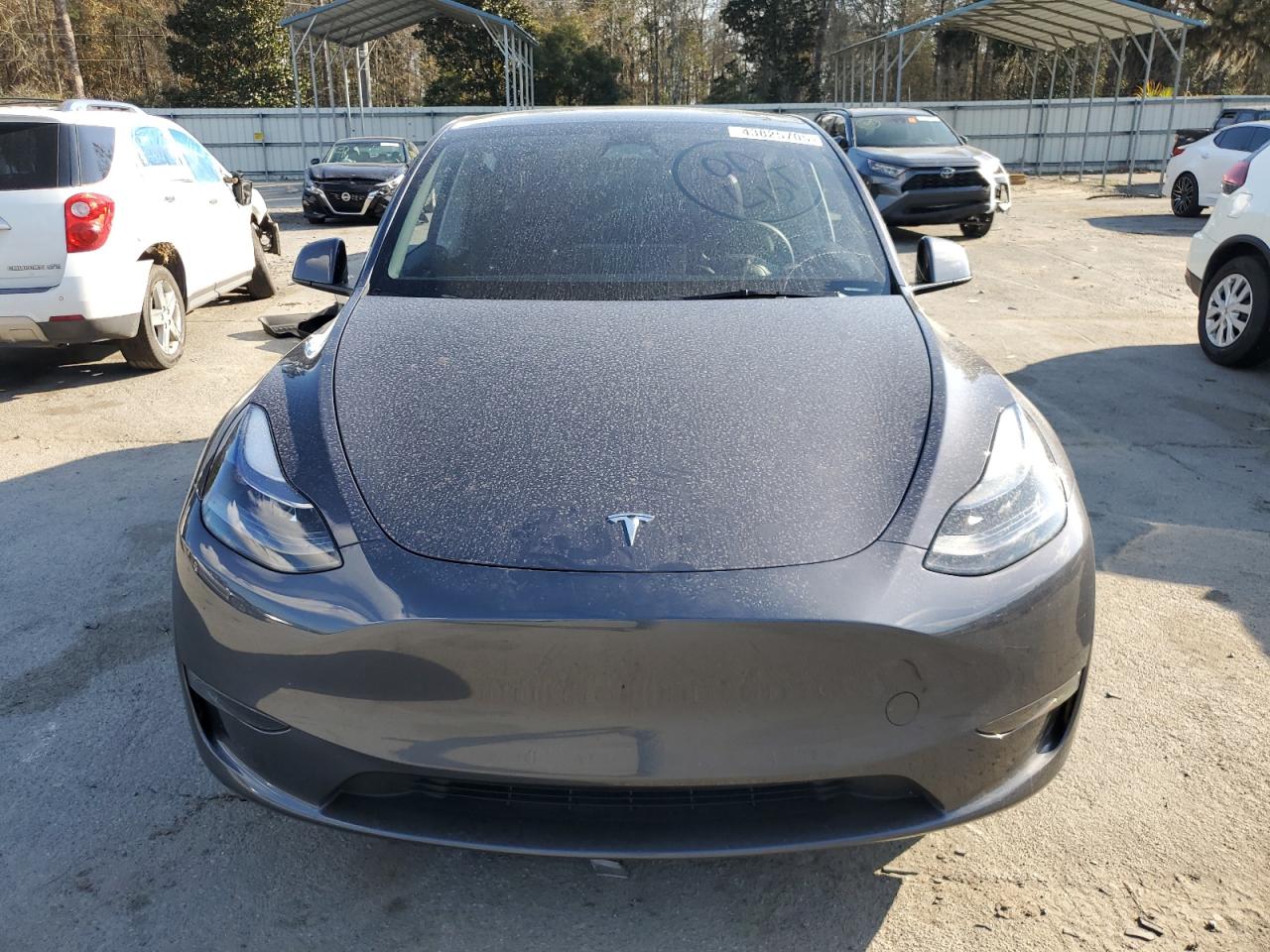 2023 Tesla Model Y VIN: 7SAYGDEE5PF761194 Lot: 43825705