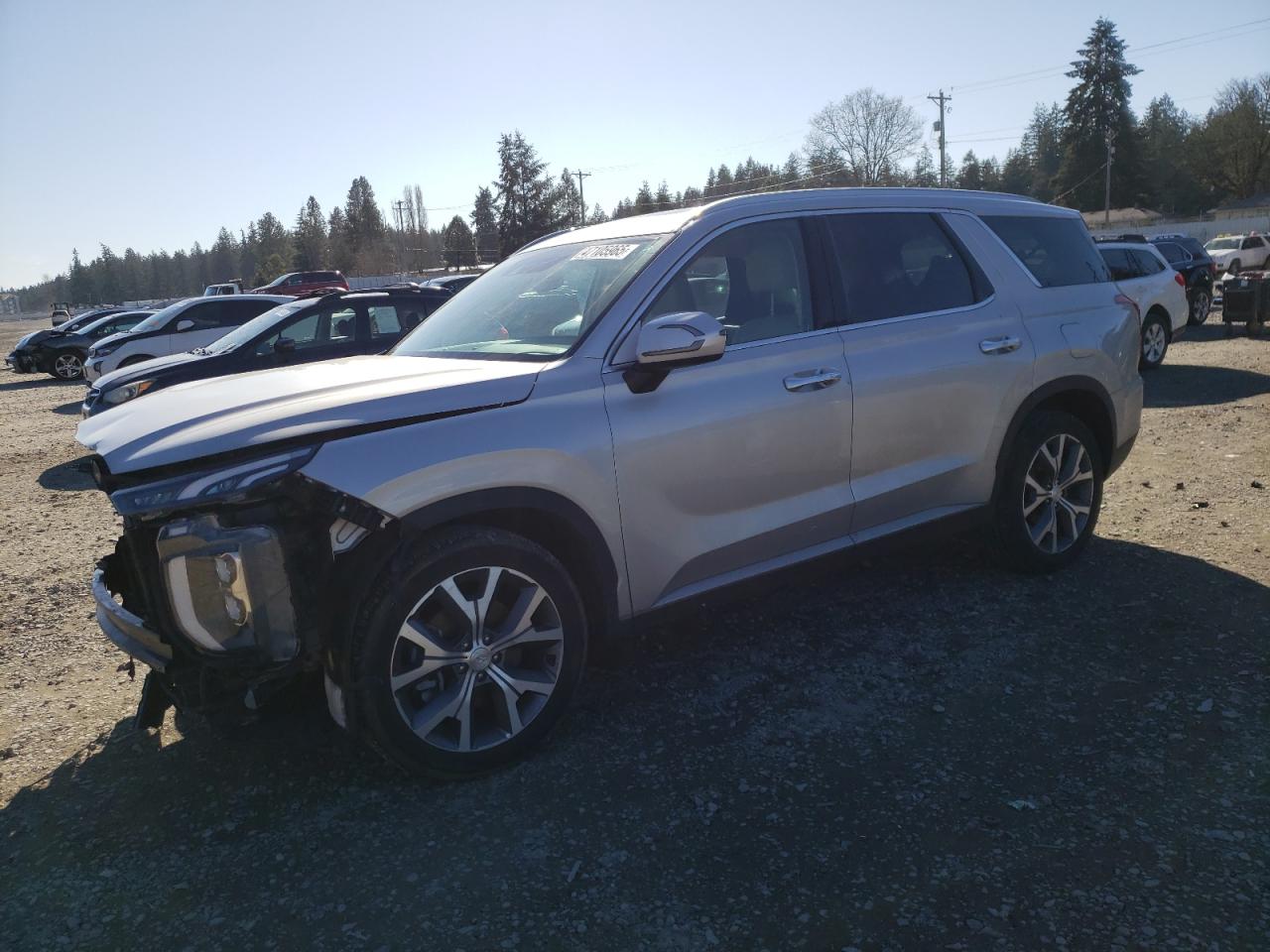 2022 Hyundai Palisade Sel VIN: KM8R4DHE6NU410705 Lot: 47105965