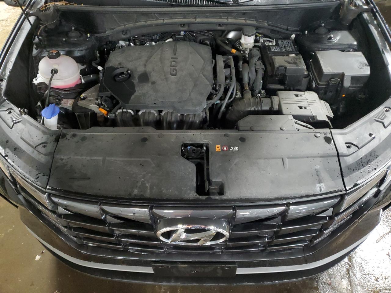 2024 Hyundai Tucson Sel VIN: 5NMJBCDE8RH384242 Lot: 46151975