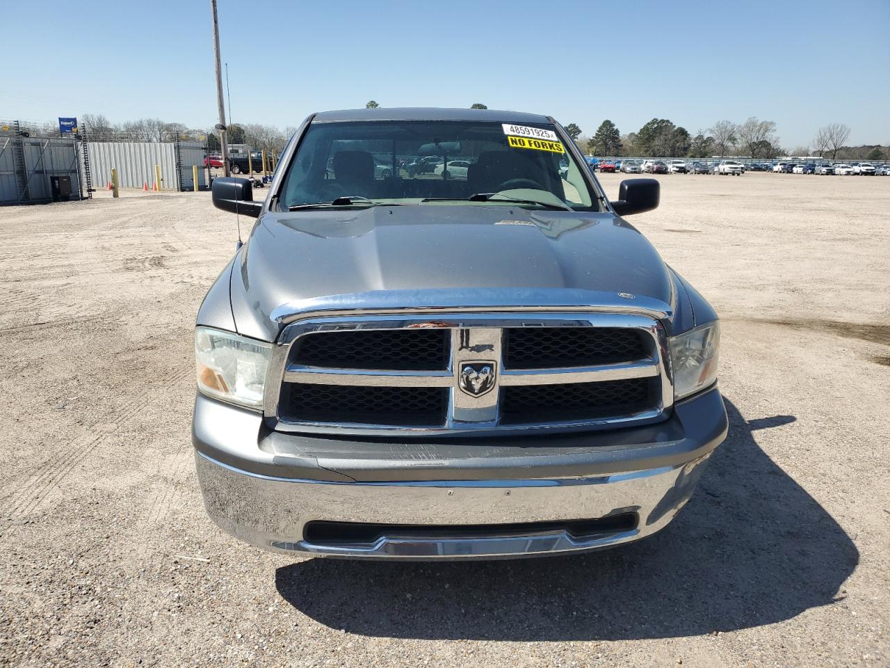 2010 Dodge Ram 1500 VIN: 1D7RB1GPXAS159999 Lot: 48591925