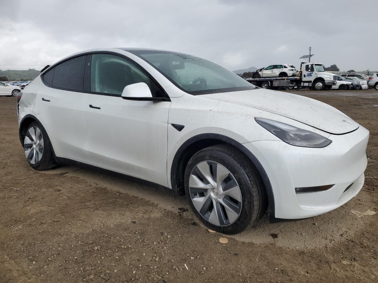 2024 Tesla Model Y VIN: 7SAYGDEE5RF075756 Lot: 48819465