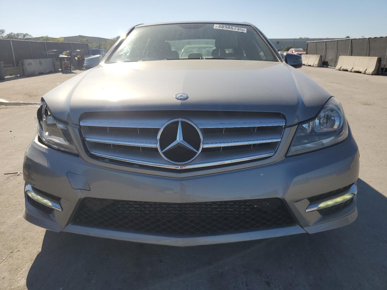 2013 Mercedes-Benz C 250 VIN: WDDGF4HB6DR263515 Lot: 48986735