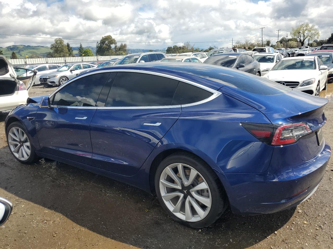 2020 Tesla Model 3 VIN: 5YJ3E1EA5LF661406 Lot: 48933745