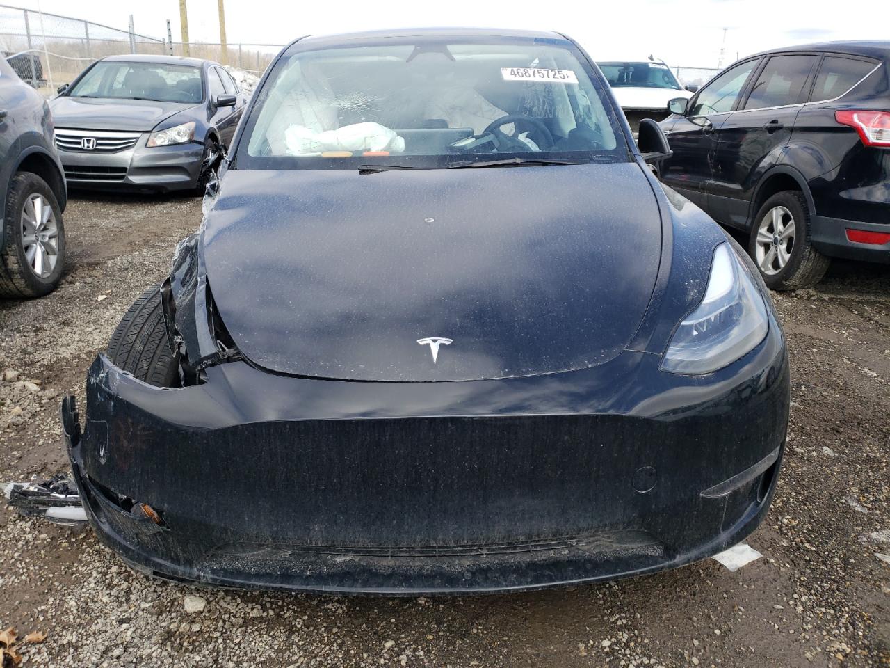 2024 Tesla Model Y VIN: 7SAYGDEE9RF183281 Lot: 46875725