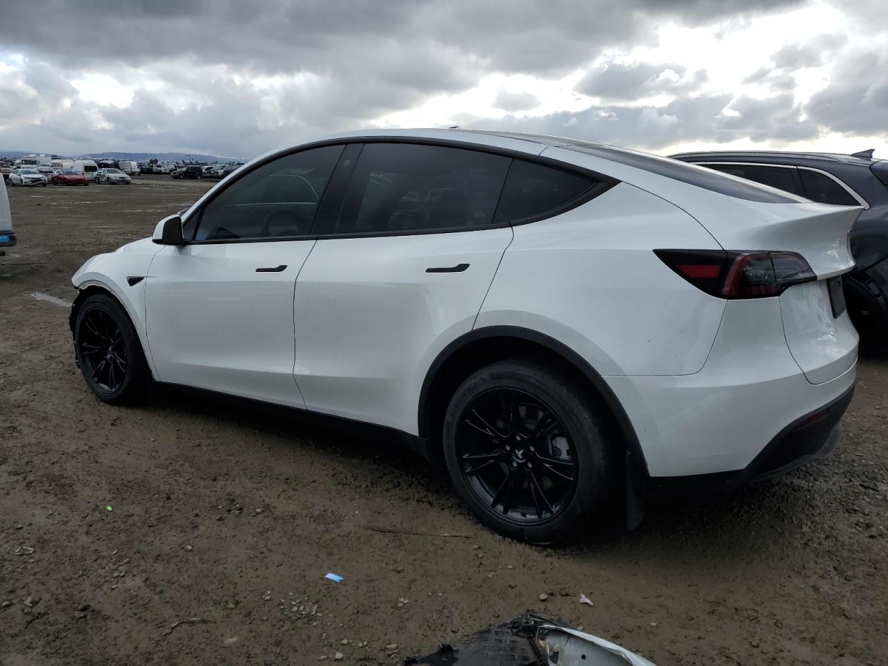 2023 Tesla Model Y VIN: 7SAYGDEE6PA120231 Lot: 48173445