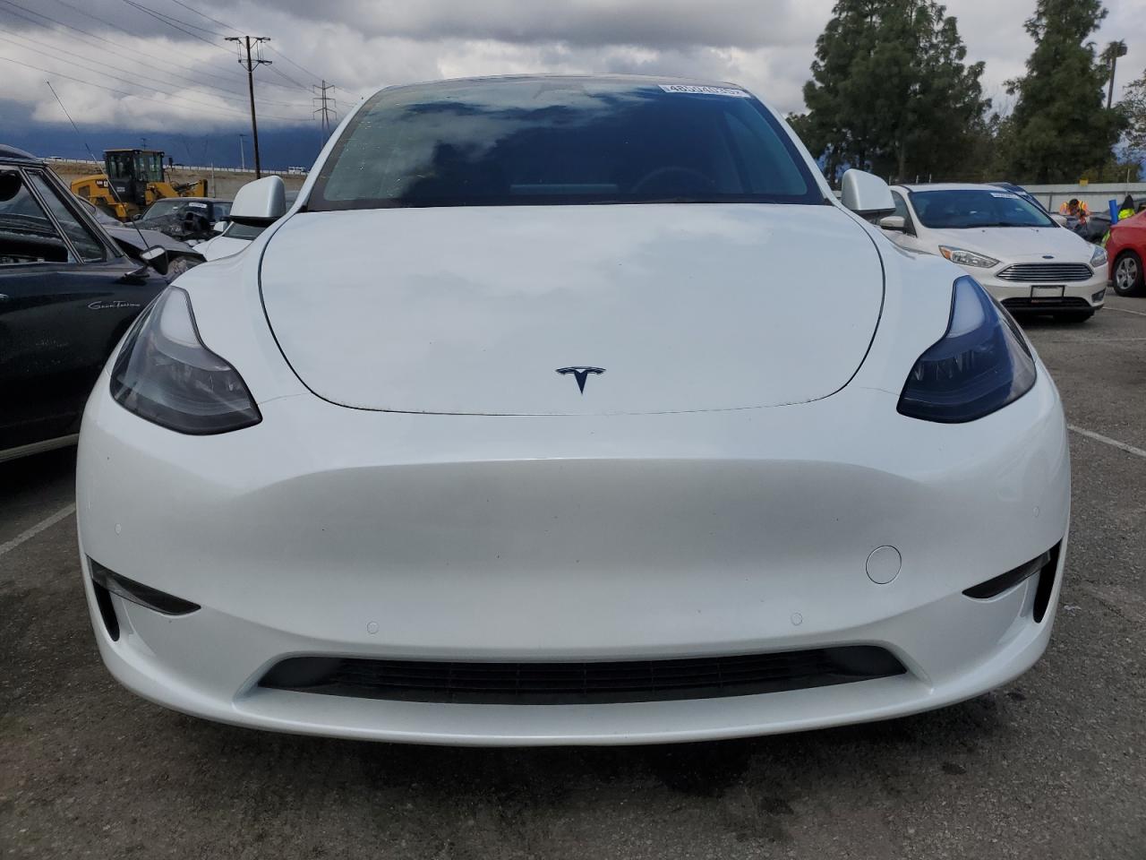 2022 Tesla Model Y VIN: 7SAYGDEE3NF558379 Lot: 48594035