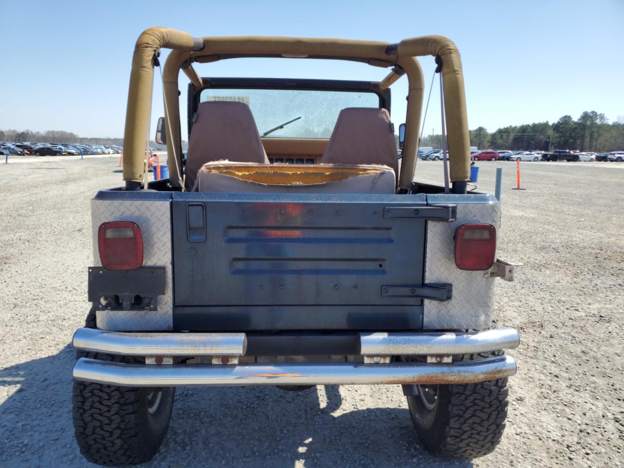 1995 Jeep Wrangler / Yj Se VIN: 1J4FY29S2SP309833 Lot: 48493855