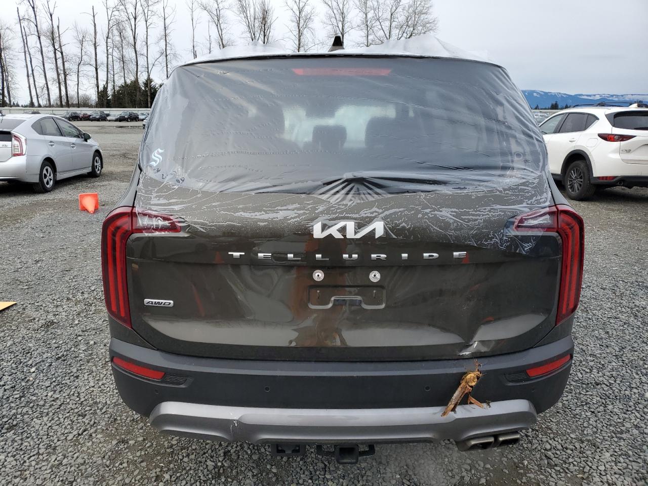 2022 Kia Telluride Ex VIN: 5XYP3DHC4NG309712 Lot: 48908255