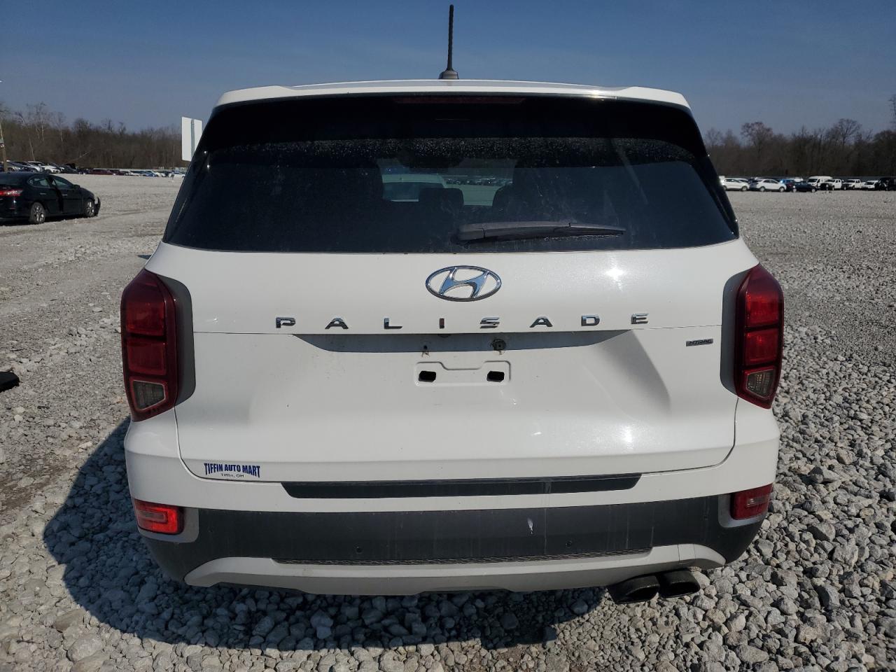 2020 Hyundai Palisade Se VIN: KM8R1DHE7LU065593 Lot: 48749965