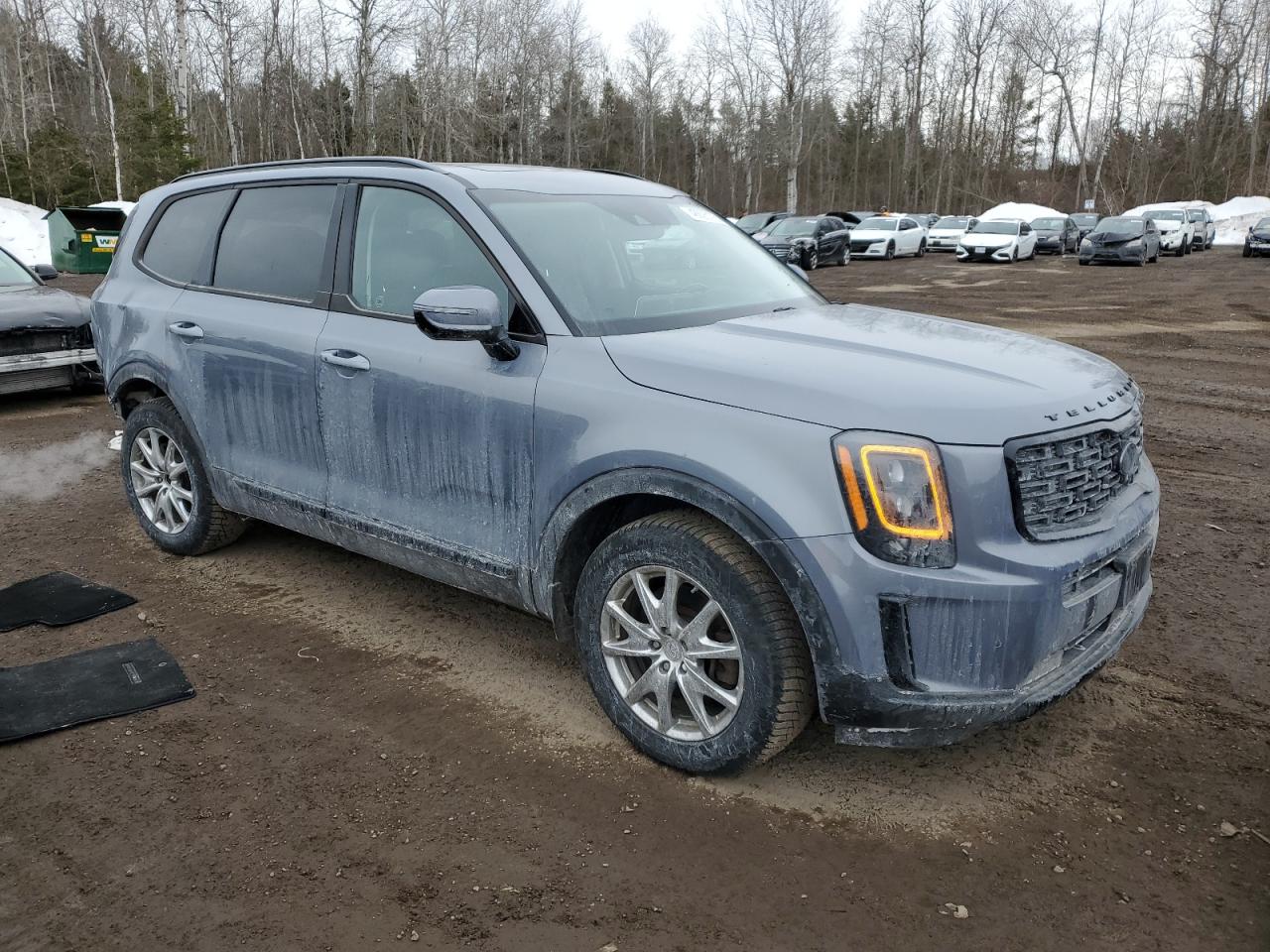 5XYP5DHC9MG137637 2021 Kia Telluride Sx