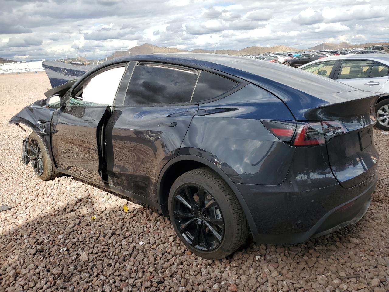 2024 Tesla Model Y VIN: 7SAYGDEEXRA223543 Lot: 48691375