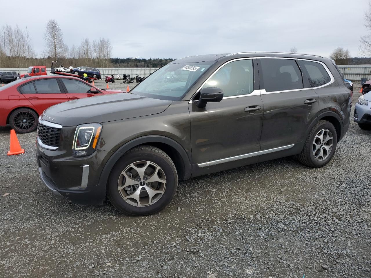 2022 Kia Telluride Ex VIN: 5XYP3DHC4NG309712 Lot: 48908255