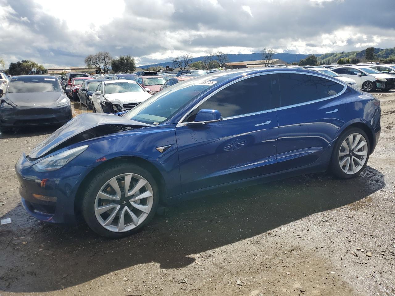 5YJ3E1EA5LF661406 2020 Tesla Model 3