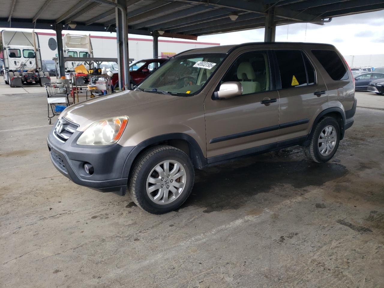 2005 Honda Cr-V Ex VIN: SHSRD78825U322445 Lot: 48933195