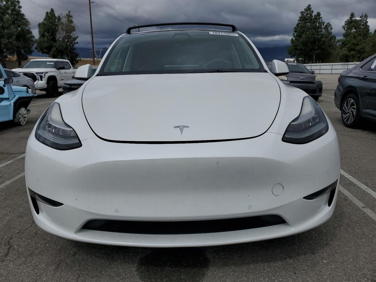 2021 Tesla Model Y VIN: 5YJYGDEE0MF213600 Lot: 48914965