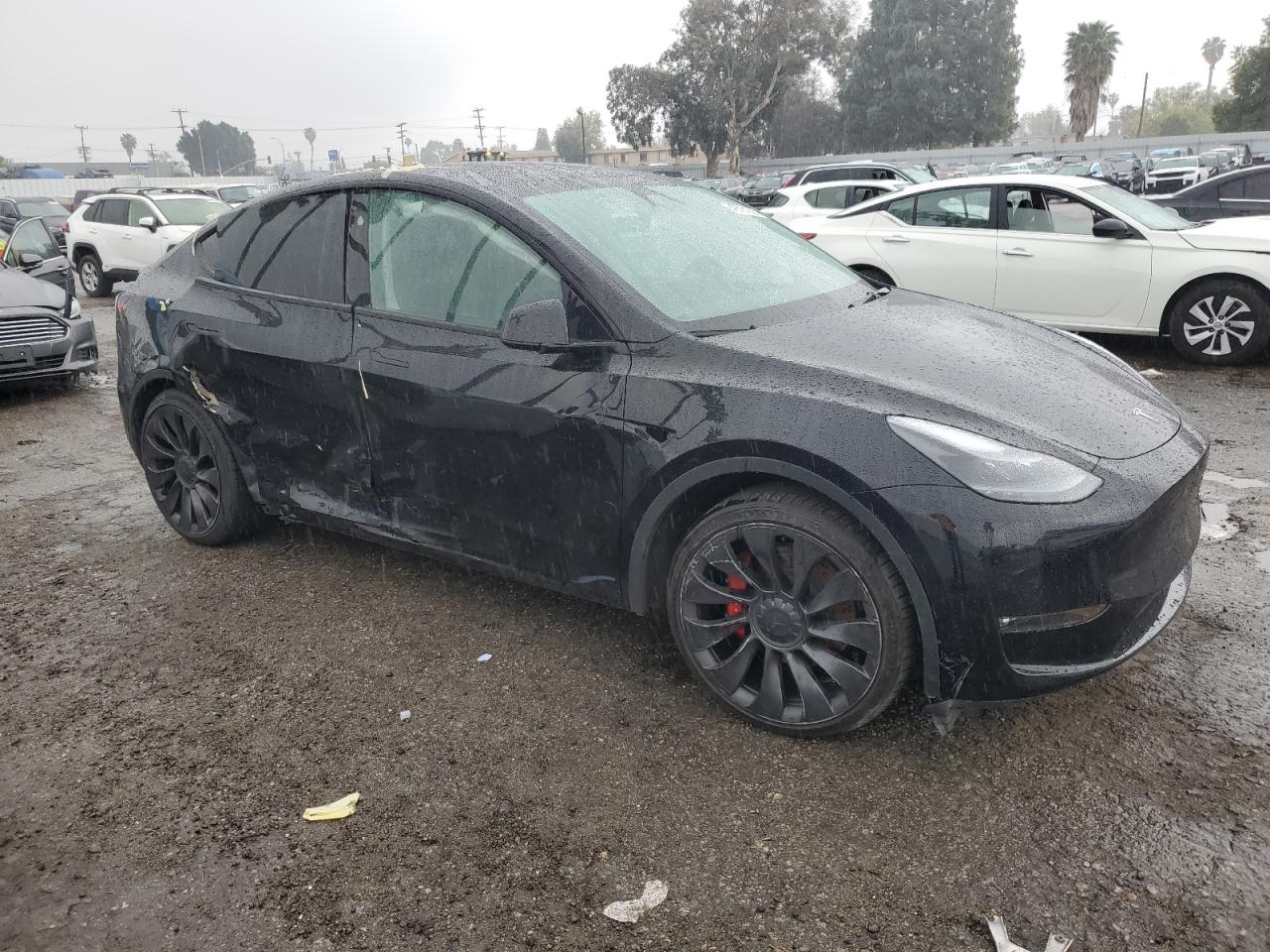 2023 Tesla Model Y VIN: 7SAYGDEF1PF924254 Lot: 48781225