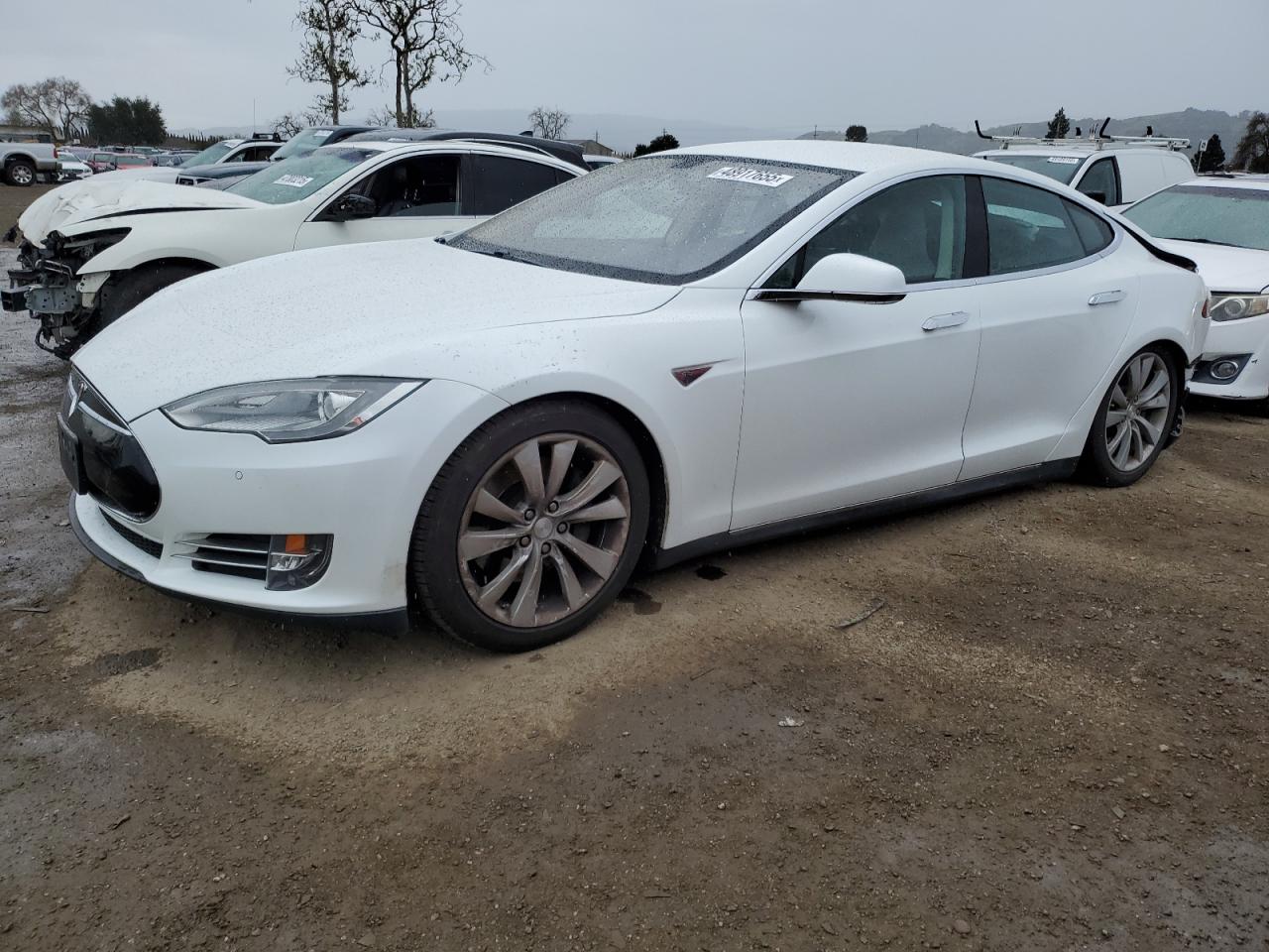 2014 Tesla Model S VIN: 5YJSA1H19EFP48568 Lot: 48917655